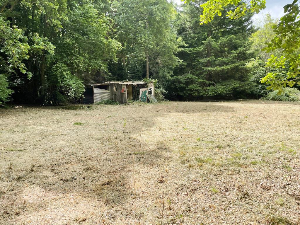 Lot: 109 - THREE ACRE FORMER NATURIST SITE WITH POTENTIAL -